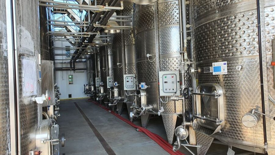 Bucharest: Dealu Mare Winery Private Trip with Wine Tasting - Who will enjoy this private wine trip?