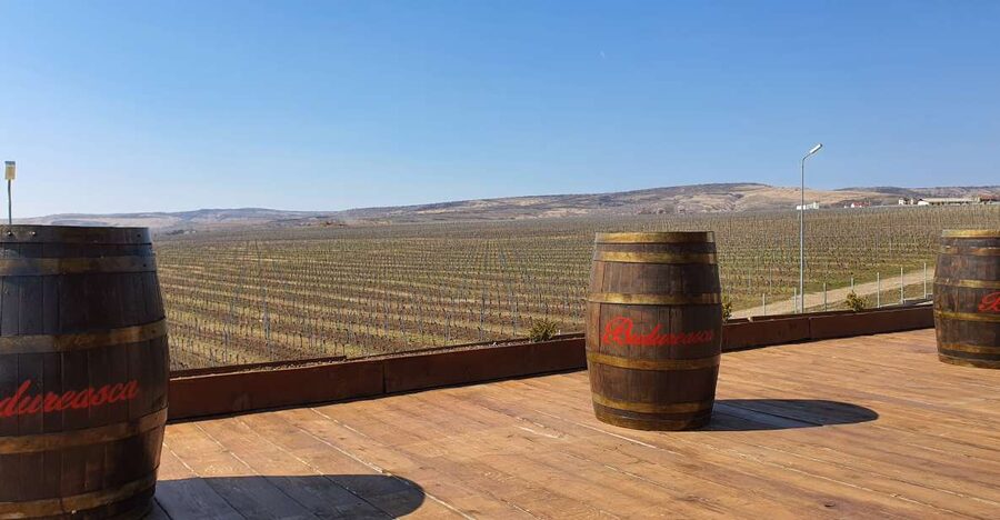 Bucharest: Dealu Mare Winery Private Trip with Wine Tasting - Leaving Bucharest by private car or minivan