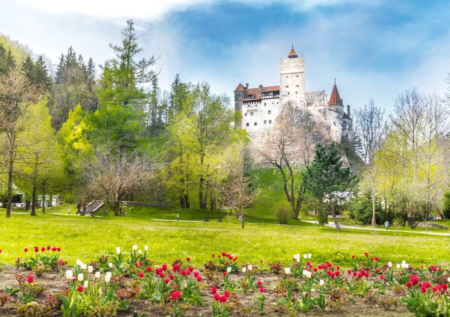 Bucharest: Dracula Castle, Peles Castle & Brasov Guided Tour - Key points to know before booking