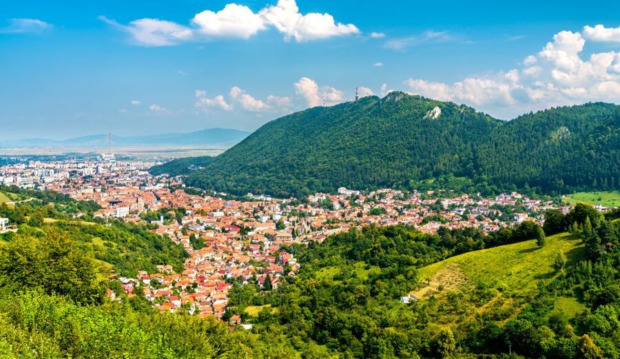 Bucharest: Dracula Castle, Peles Castle & Brasov Guided Tour - What the guides add