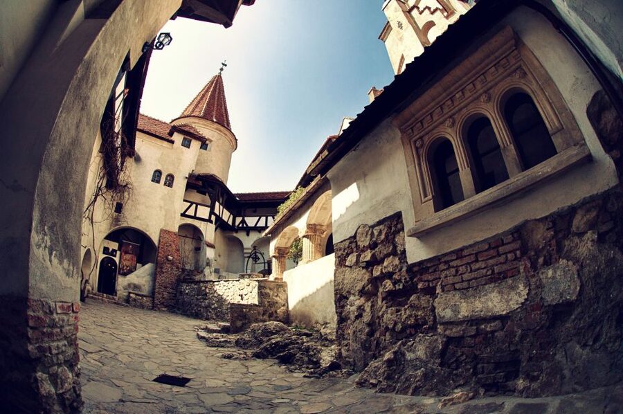 Bucharest: Dracula Castle, Peles Castle & Brasov Guided Tour - The road north from Bucharest