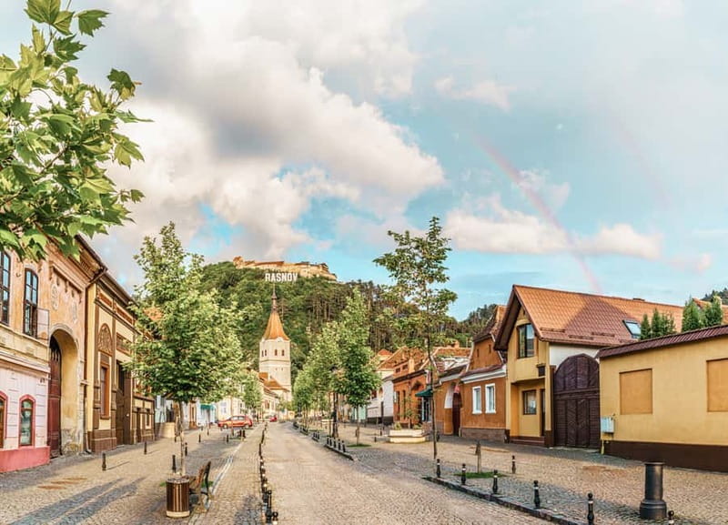Bucharest: Dracula's Castle, Peleș Castle & Brașov Day Trip - What the $23 price really covers