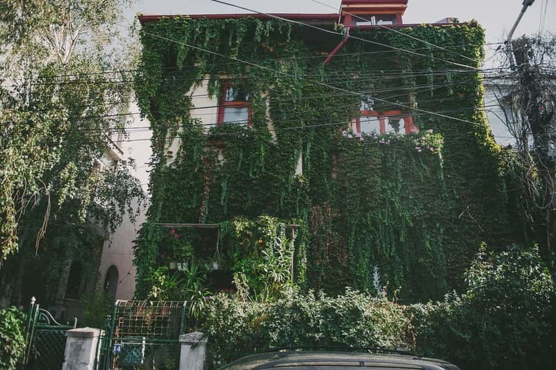 Bucharest: Hidden Gems 2.5-Hour Walking Tour - Guides, group size, and the walking effort