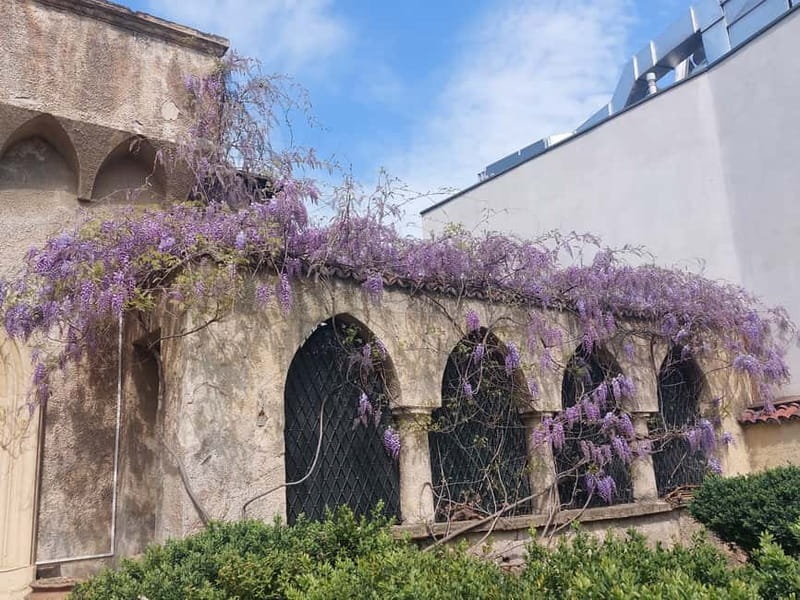 Bucharest: Hidden Gems 2.5-Hour Walking Tour - The Armenian quarter and its copied cathedral
