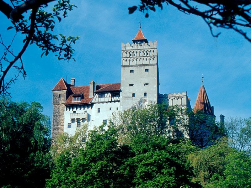 Bucharest: Peles Castle, Dracula's Castle and Brasov Tour - What the guide service really means