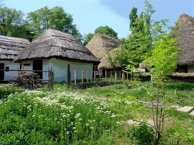 Bucharest: Private City Tour Guided Experience - Why this five-hour route works well