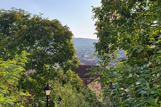 Bucharest Private Tour with Dracula's Grave and Ceaușescu Mansion - A six-hour route through Bucharest’s many faces