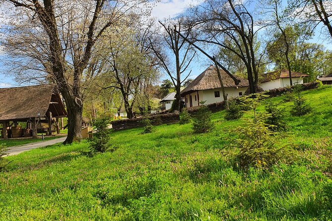 Bucharest Private Tour with Dracula's Grave and Ceaușescu Mansion - Who should book this Bucharest tour?