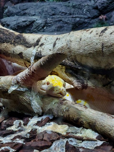 Bucharest: Reptiland Bucharest Entry Ticket - Walking through a tropical forest indoors