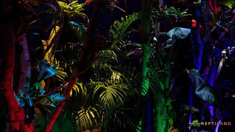 Bucharest: Reptiland Bucharest Entry Ticket - Why the habitat design matters