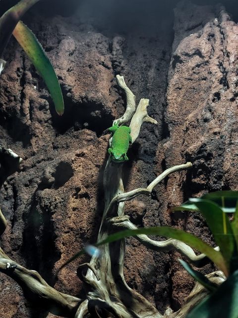 Bucharest: Reptiland Bucharest Entry Ticket - Planning your arrival at Expo Building Corp B2