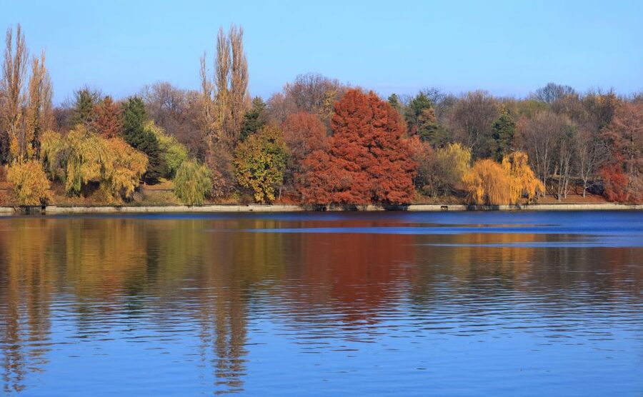 Bucharest Sightseeing Tour - What the guide adds to the ride