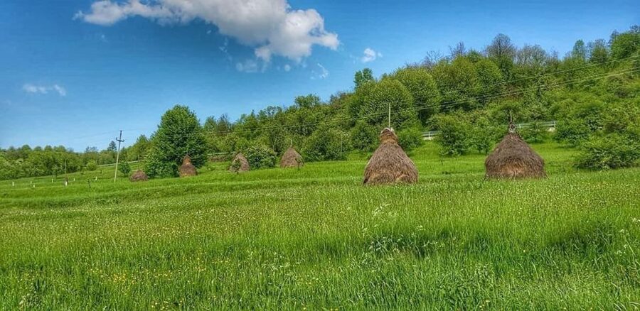 Bucharest: The Biggest Salt Mine in Europe & Wine Tasting - Timing, clothing, and practical matters