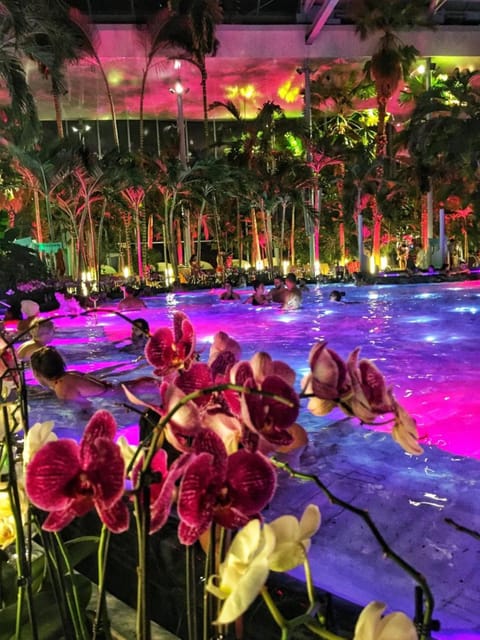 Bucharest: Therme Spa Night Experience with Transfer - What the night at Therme Bucharest is really like