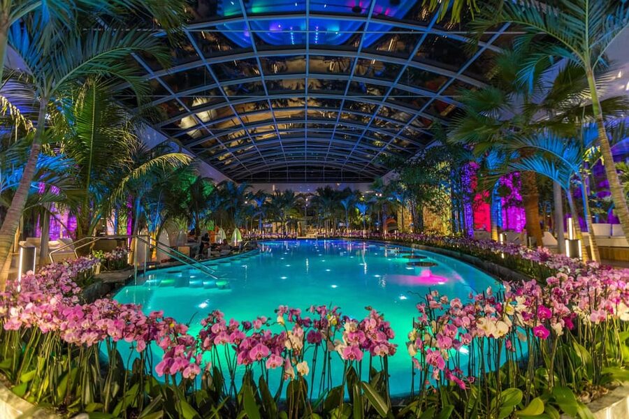 Bucuresti: Therme Bucharest Evening Entry Ticket & Transfer - Who will enjoy this six-hour outing