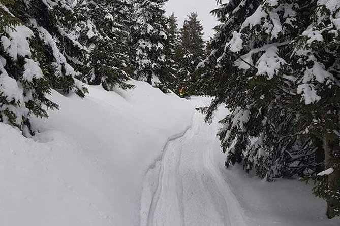 Carpathian mountains Snowmobile, ATV or Buggy tour in one day - From Bucharest to Peles Castle by 7:00 a.m.