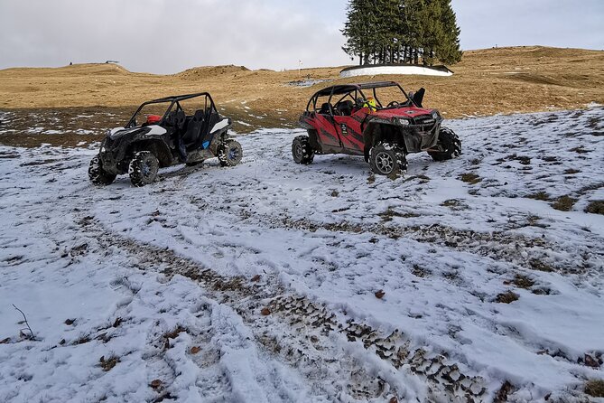 Carpathian mountains Snowmobile, ATV or Buggy tour in one day - Group size, timing, and comfort