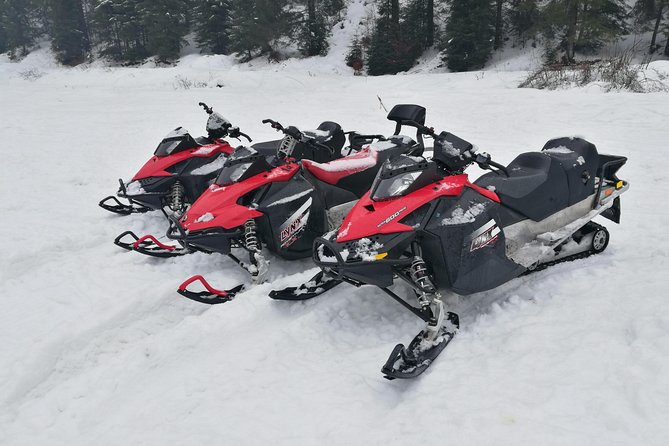 Carpathian mountains Snowmobile, ATV or Buggy tour in one day - One hour at Peles Castle