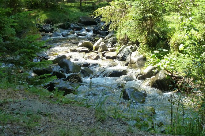 Carpathians in Romania: Bucegi Natural Park with native Spanish guide. - Equipment, fitness, and weather