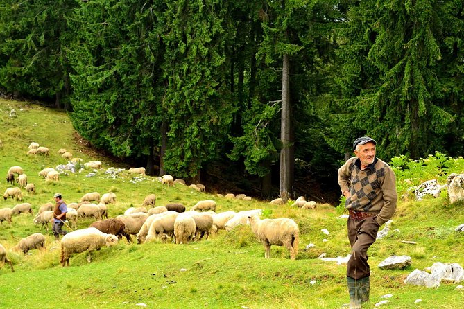 Carpathians in Romania: Piatra Craiului National Park with native Spanish guide. - Returning by Poiana Zanoaga