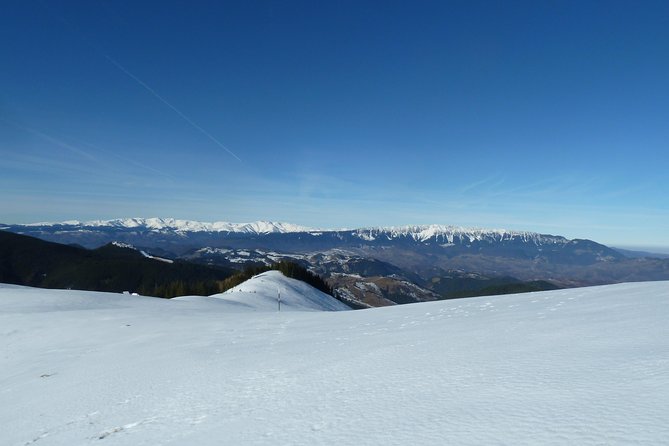 Carpathians in Romania: Piatra Craiului National Park with native Spanish guide. - How this compares with a broader Romania day
