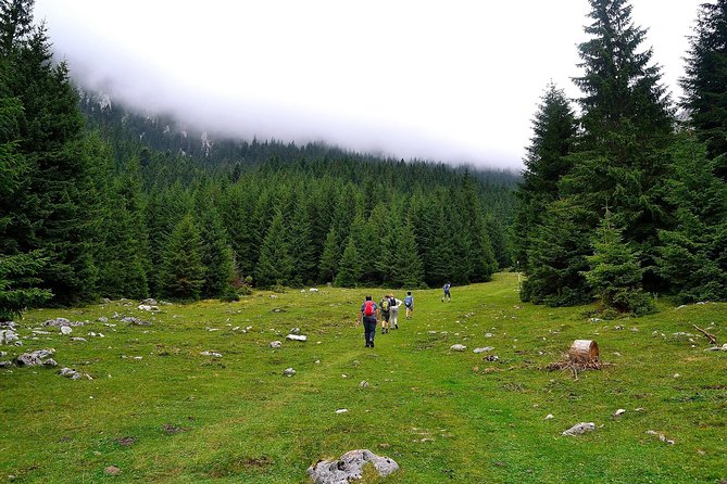 Carpathians in Romania: Piatra Craiului National Park with native Spanish guide. - Climbing to Curmatura Chalet at 1,470 meters