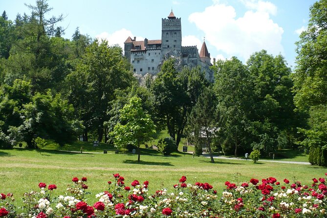 Castles Private Tour Peles - Bran - Rasnov from Brasov - Who should book this private castle tour?
