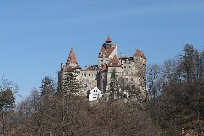 Castles Private Tour Peles - Bran - Rasnov from Brasov - Rasnov Citadel and the wide view