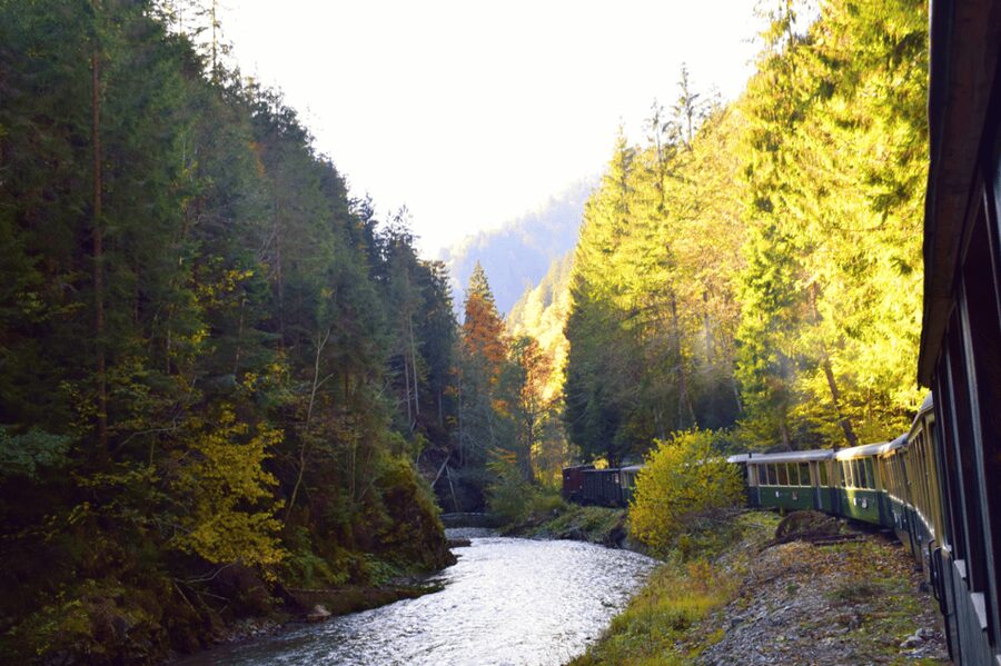 CJ03 - Day trip to Maramures Mocanita Train from Cluj Napoca - Key points to know before booking