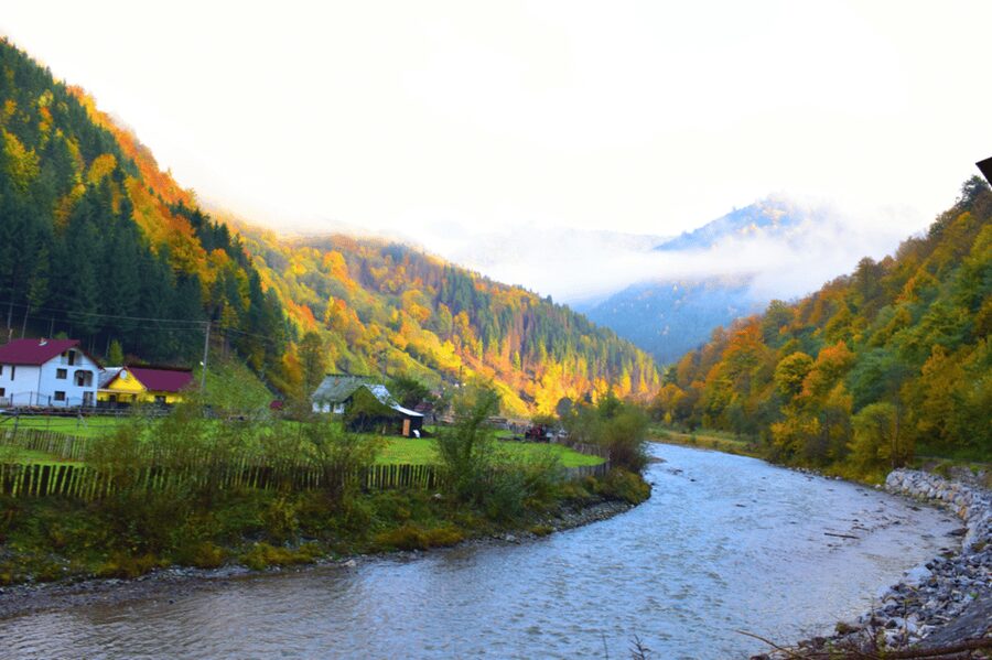 CJ03 - Day trip to Maramures Mocanita Train from Cluj Napoca - Why the Mocănița train is worth the long ride