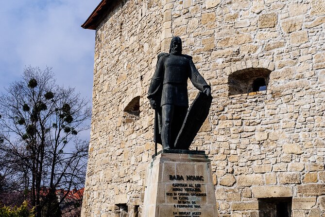 Cluj-Napoca: 2.5-Hour Guided Walking Tour - Starting with Matthias Corvinus’s birthplace
