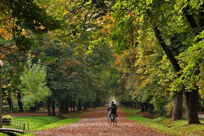 Cluj-Napoca Walking City Tour - What this Cluj-Napoca walking tour does best