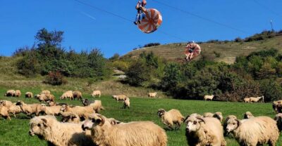 Outdoor Activities Day Trip with Zip Line and Hike