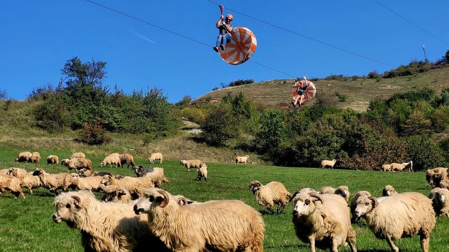 Cluj: Outdoor Activities Day Trip with Zip Line and Hike - Who Should Book This Experience?