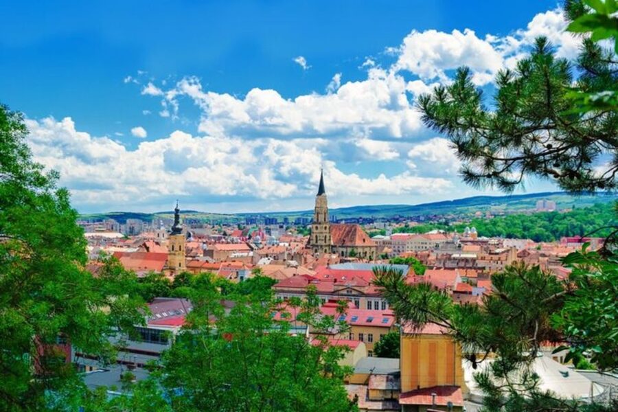 Cluj : Private Walking Tour with A Guide ( Private Tour ) - Adding a museum visit by request