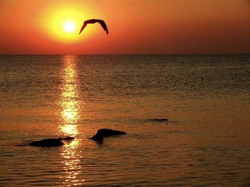 Constanta: Full Day Tour from Bucharest to the Black Sea - Bucharest to Constanta: a long road with a clear purpose