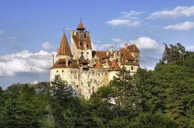 Count Dracula & Peles Castle in One Day from Bucharest - Food, timing, and comfort