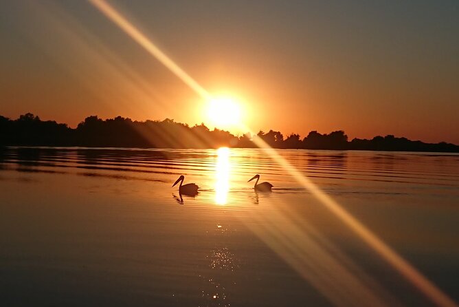 Daily Tours in the Danube Delta - Camely Cruise - Weather can change the day