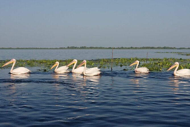 Daily Tours in the Danube Delta - Camely Cruise - Who will enjoy the Camely Cruise most