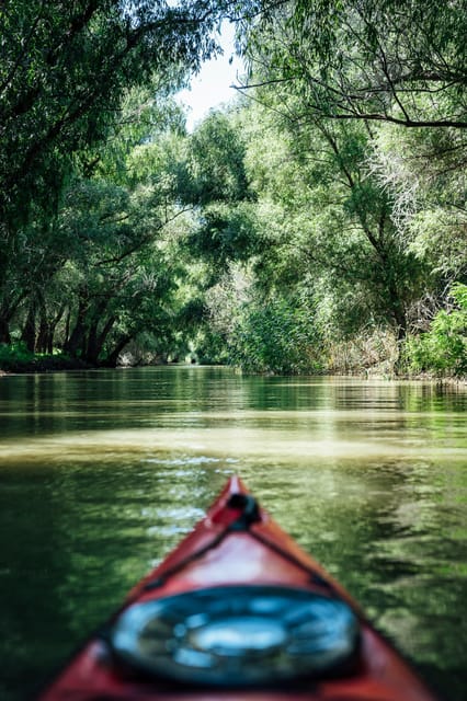 Danube Delta: Boat Tour Through the Water Lily Reserve - A realistic look at the two-hour itinerary