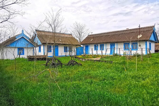 Danube Delta PRIVATE boat trip to Letea Forest (guided tour) - A guide makes the Delta easier to read