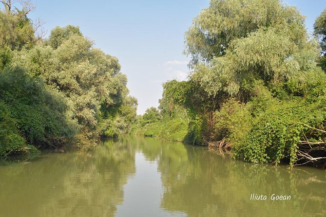 Danube Delta PRIVATE boat trip to Mila23 Village (guided tour) - Key points to know before you book