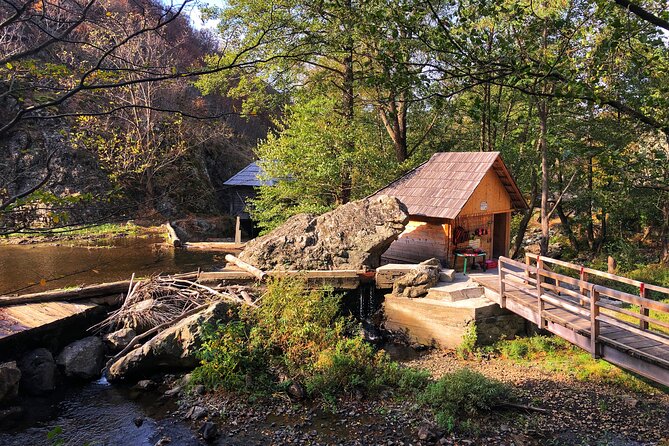 Danube Gorge & Banat Waterfalls - Decebalus Rock: a powerful first stop