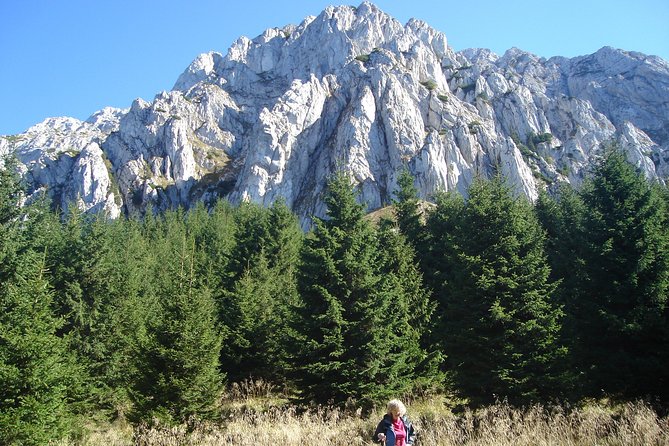 Day Hike in Carpathian Mountains for all levels in five areas - From Brasov to Piatra Craiului National Park