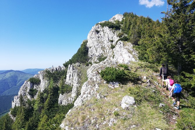 Day Hike PRIVATE - Piatra Craiului National Park - Why this Brasov day hike works so well