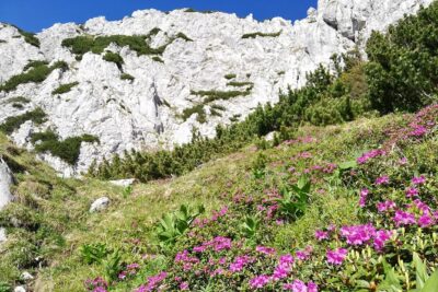 Day Hike PRIVATE – Piatra Craiului National Park