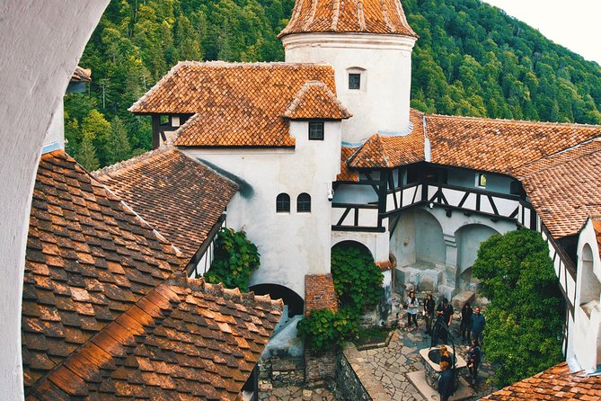 Day Tour to Brasov and Bran - Who should book this experience?