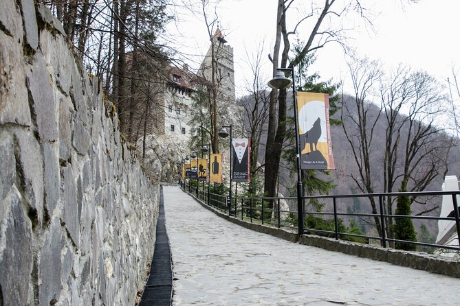 Day Trip Bear Sanctuary, Bran Castle, Rasnov Fortress from Brasov - Libearty Bear Sanctuary in Zarnesti
