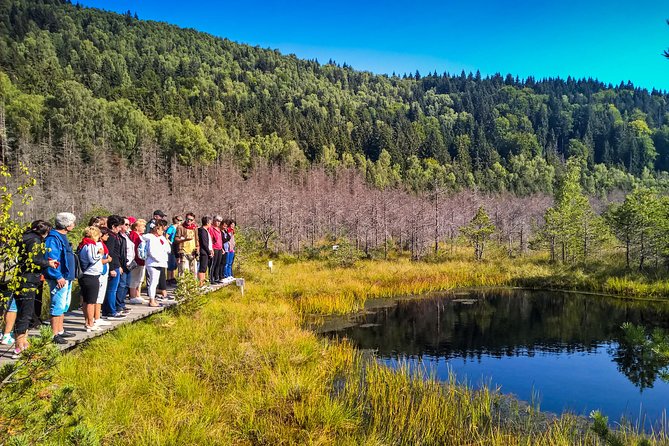 Day Trip & Bear Watching in the Land of Volcanoes - Saint Anna Lake and the volcanic story