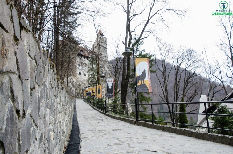 Day trip Bran Castle, Rasnov Fortress and Bear Sanctuary - Why this six-hour Transylvania trip works